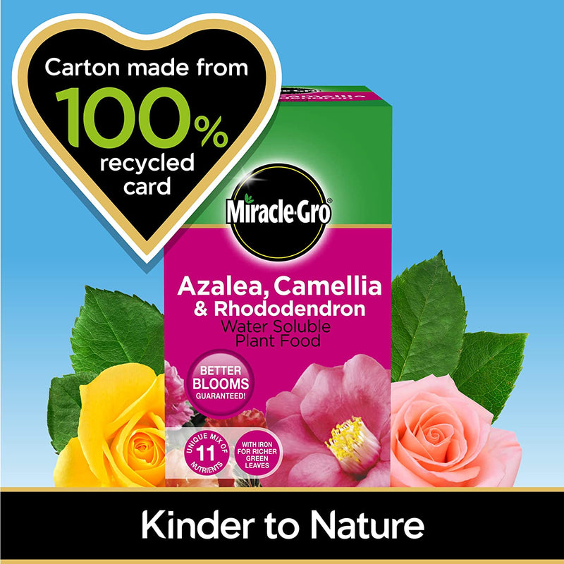 Miracle-Gro® Azalea, Camellia & Rhodod Soluble Plant Food 1kg