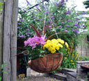 Fixtures X-Large 16" Wire Hanging Basket
