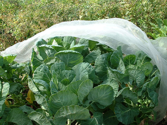 Rhs Agralan Enviromesh Fine Garden Insect Netting Mesh Standard - 2.1M X 4.5M