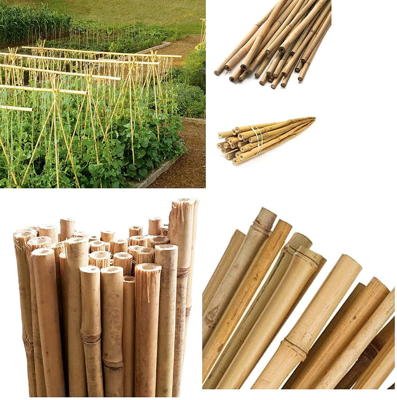Bamboo Cane by Fixtures 90cm Pack 10-50 pack