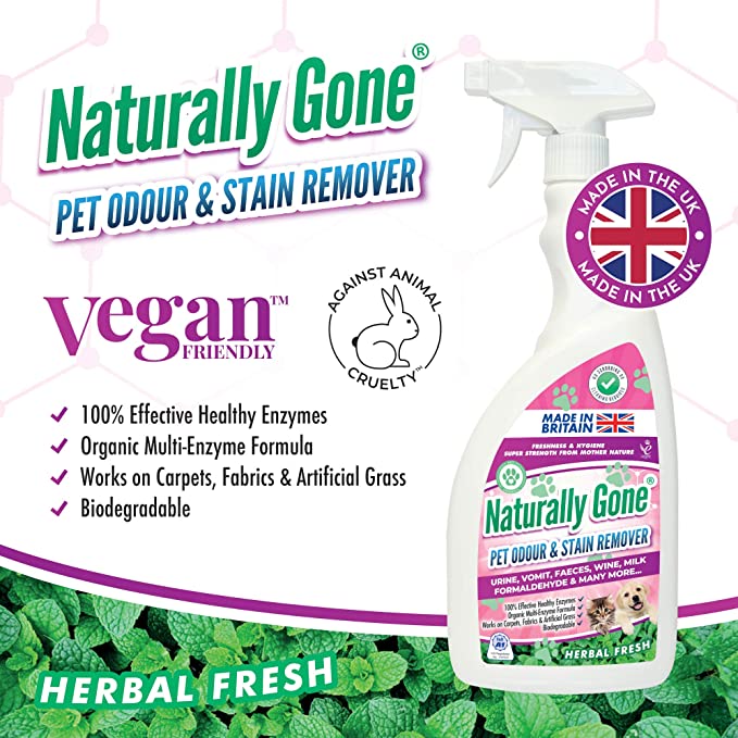 Airpure Naturally Gone Pet Odour & Stain Remover Citrus Zing Stain Remover 750ml