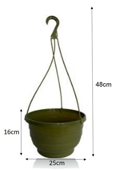 Fixtures Green Garden Hanging Basket 25cm x 16cm