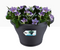 GARDEN & PET SUPPLIES - Elho Corsica Drianpipe Clicker Flower Pot 24cm ANTHRACITE