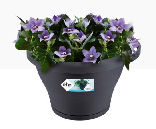 GARDEN & PET SUPPLIES - Elho Corsica Drianpipe Clicker Flower Pot 24cm ANTHRACITE