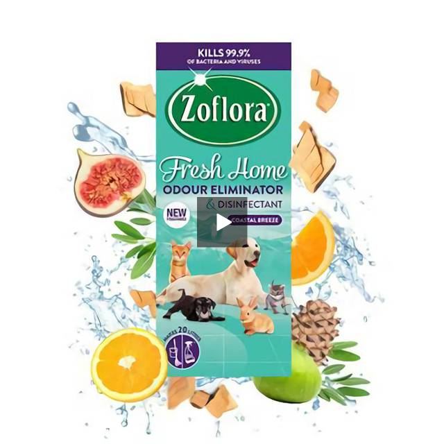 Zoflora Fresh Home Mountain Air Disinfectant 500ml