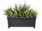 Fixtures Grosvenor Raised Trough Large 55cm Black/Ebony