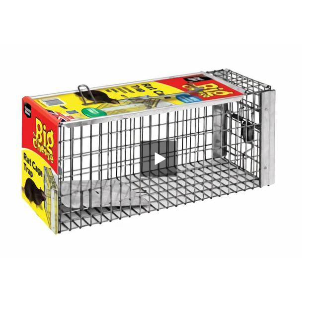 Big Cheese Rat Cage Reusable Rust Resistant Trap (STV075)