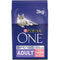 Purina ONE Adult Dry Cat Food Salmon & Wholegrain 4 x 3kg {Full Case Offer} - Garden & Pet Supplies