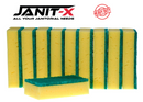 Janit-X Abrasive Sponge Back Large Green Scourers Pack 10's - Garden & Pet Supplies
