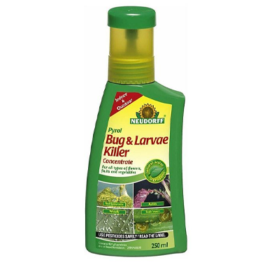 GARDEN & PET SUPPLIES - Natures Haven Easy Wildflower 1.2kg Box