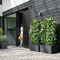 Elho Vivo Next Living Black Long Planter 60cm