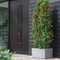 Elho Vivo Next Living Concrete Long Planter 60cm