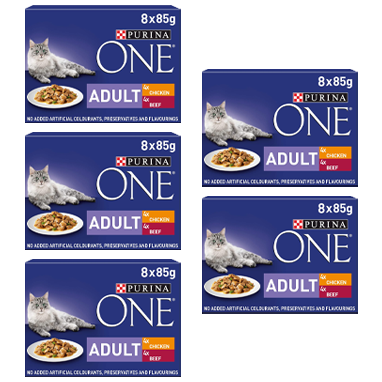 Purina ONE Adult Wet Cat Food Pouches Chicken and Beef 40 x 85g {Full Case} - Garden & Pet Supplies