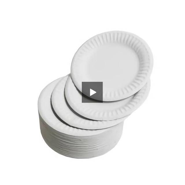 9inch Paper Plates Pack 100's